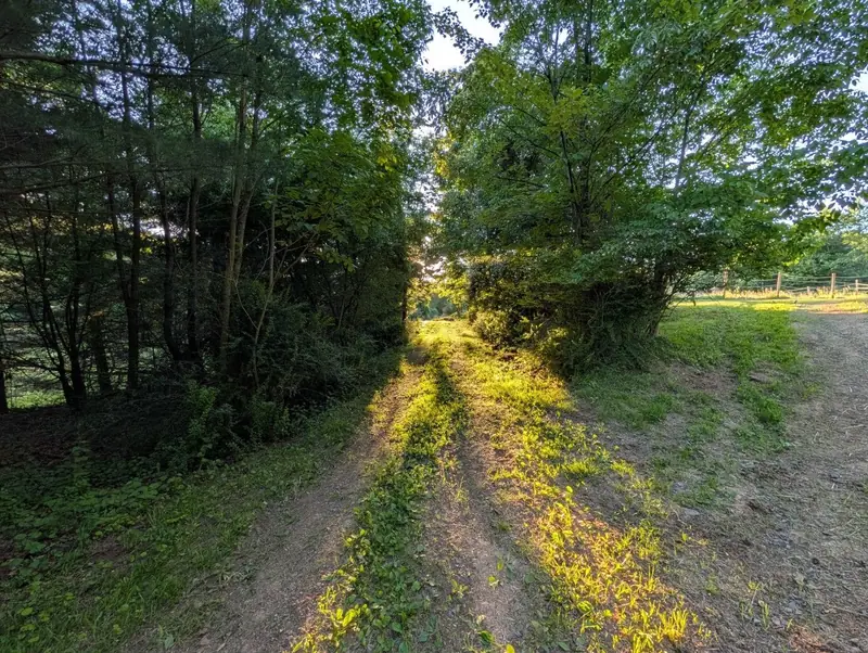Adventure starts just beyond the trees.