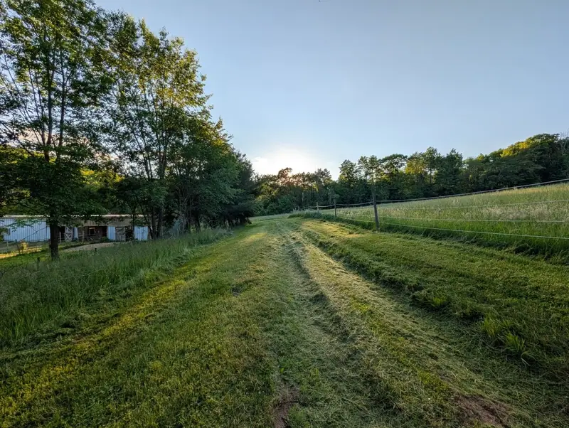 Explore the property.. there is so much to see
