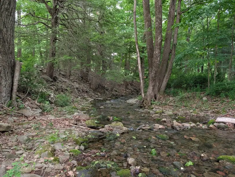 Have fun at the creek